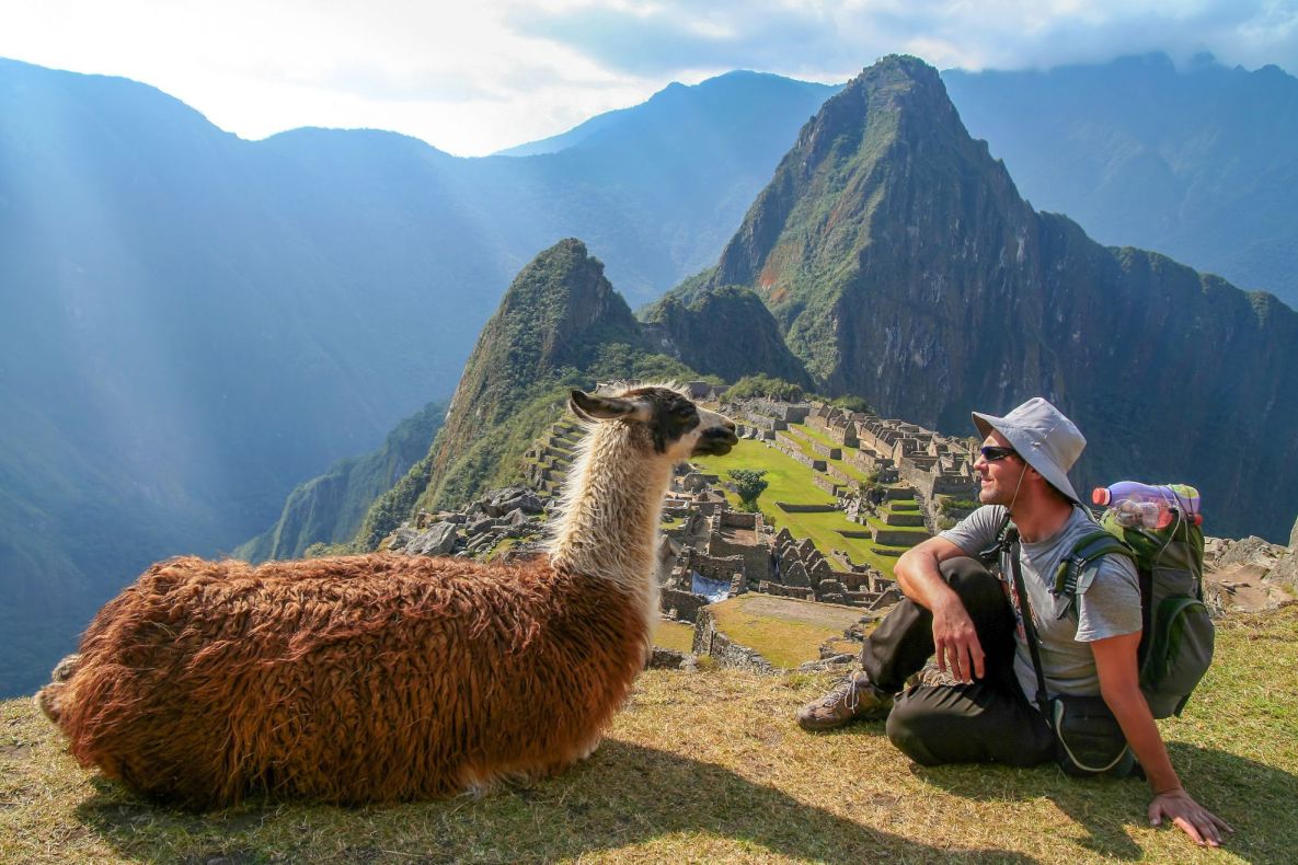 picnic în munți cu alpaca