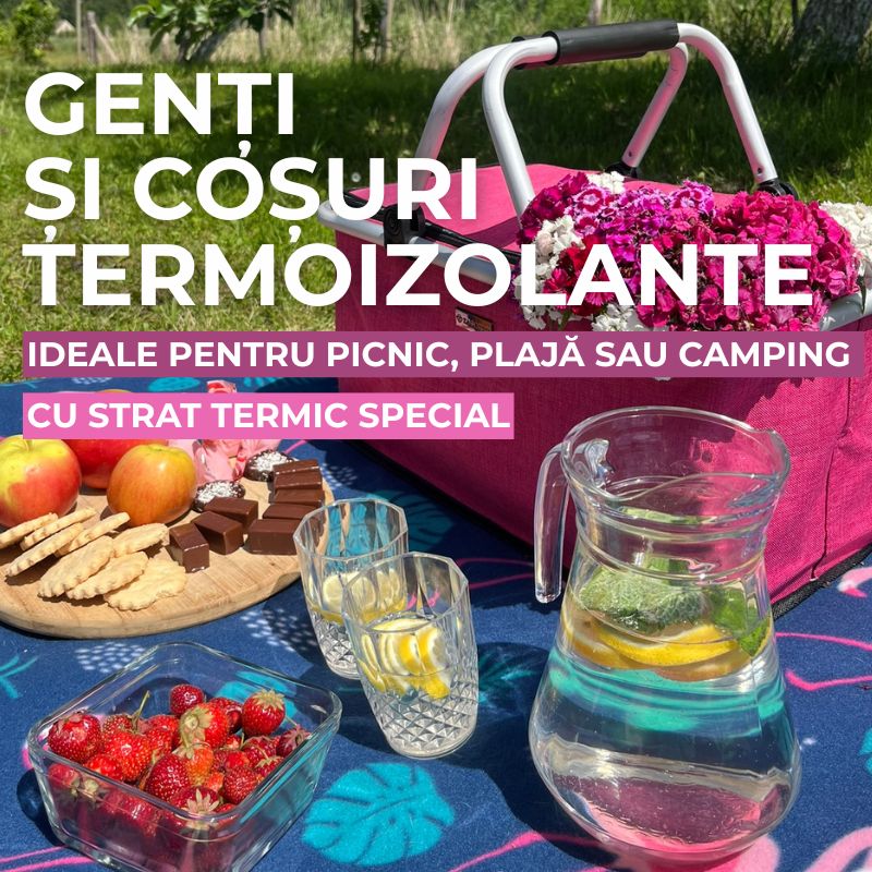 Coșuri de Picnic si Genti Termoizolante Zagatto